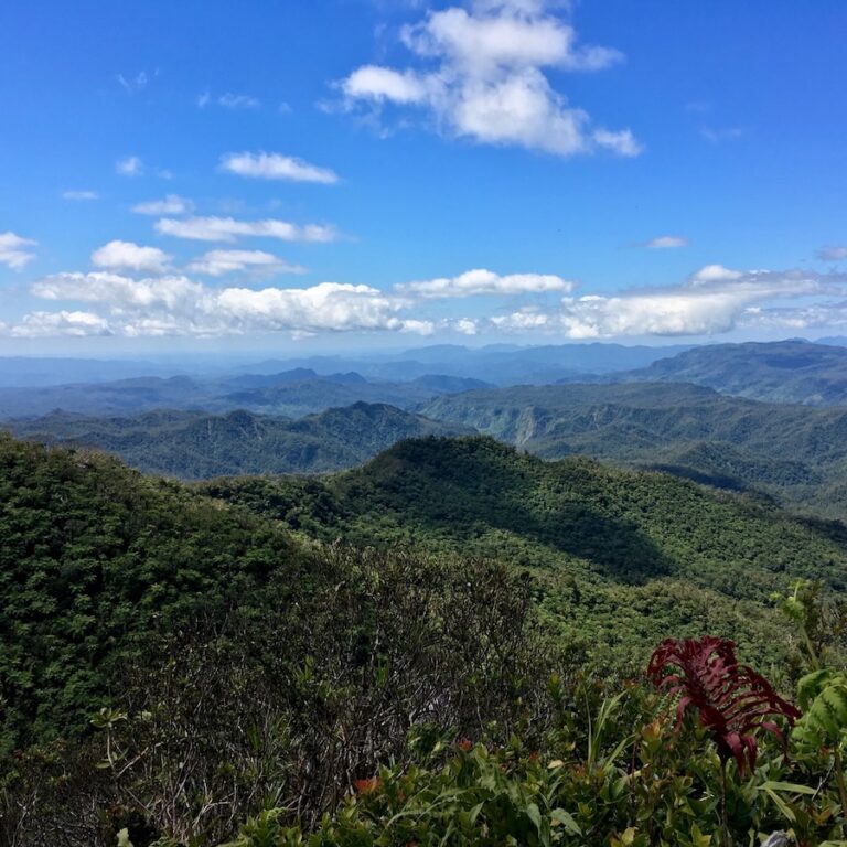 Views from Fiji's highest mountain, Mt Tomaniivi