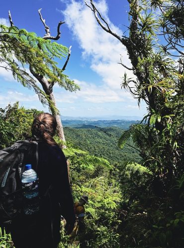 Hiker looking out from the trail up Fiji's highest mountain