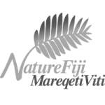 NFMV