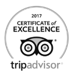 Tripadvisor_2017_COE_200